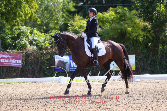 DKP42841 | Turnierfotos kaufen im Webshop von Daniel Kuhl Photography – entdecke professionelle Reitsportfotos aus Turnieren & Events. Hochwertige Turnierbilder online bestellen & sichern. Jetzt Fotos von Reitsportturnieren kaufen!