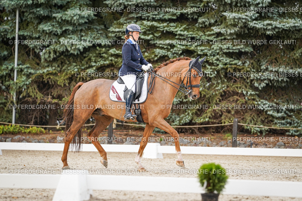 DSC08732 | Pferdegrafie