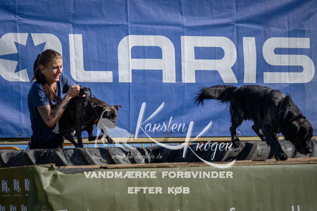 1001_ZZ97192 | kk-dogfotos
