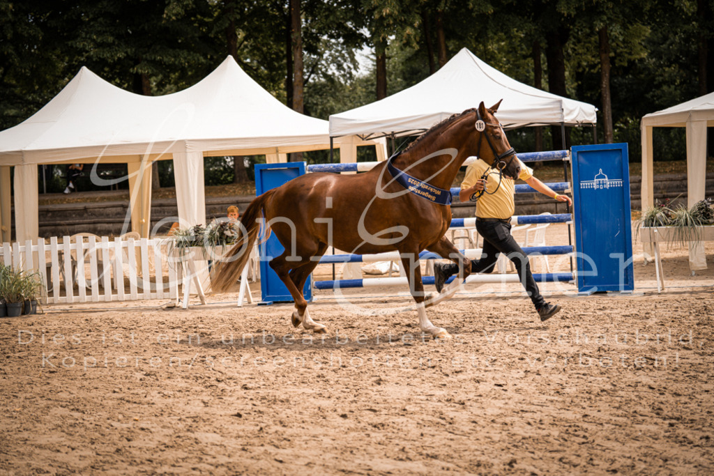 3.Fr00269 | Leoni Ertmer Photography - Realisiert mit Pictrs.com