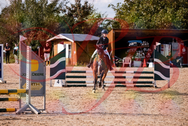 2026_10_03_Siefer-Hof_154649_Z81_65780644 | Professionelle Reitsport-, Turnier- und Eventfotografie von Robert Broda. Galerien mit ausgewählten und bearbeiteten Bildern direkt online ansehen und bestellen.