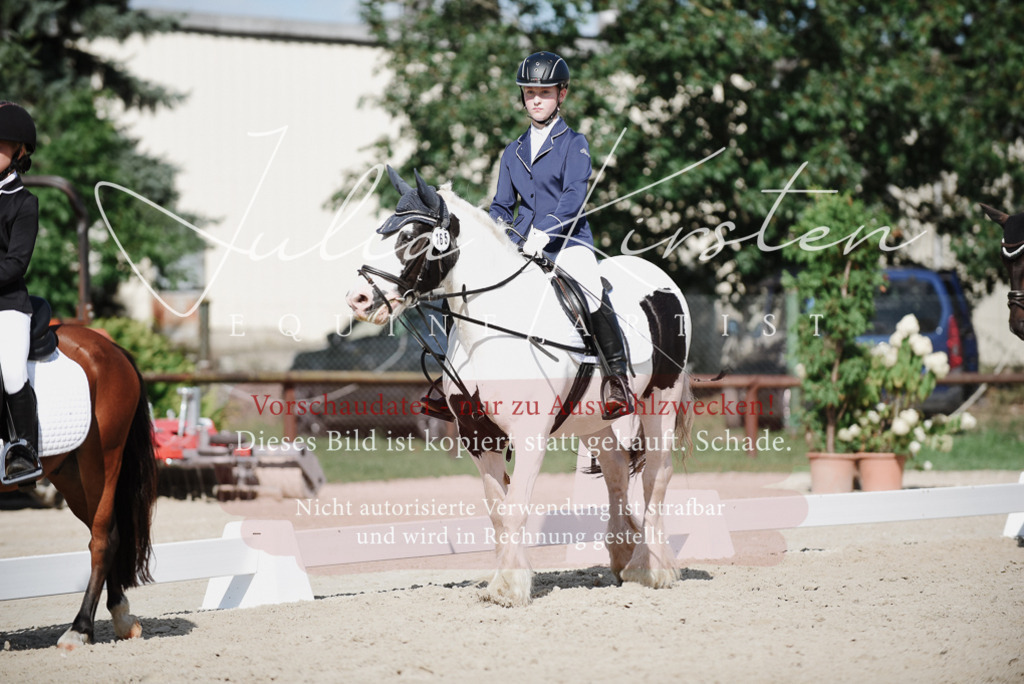 DSC_0024 | Pferde- und Turnierfotografie in Westsachsen. Pferdeportraits, Auftragszeichnungen und intuitive Kunst.