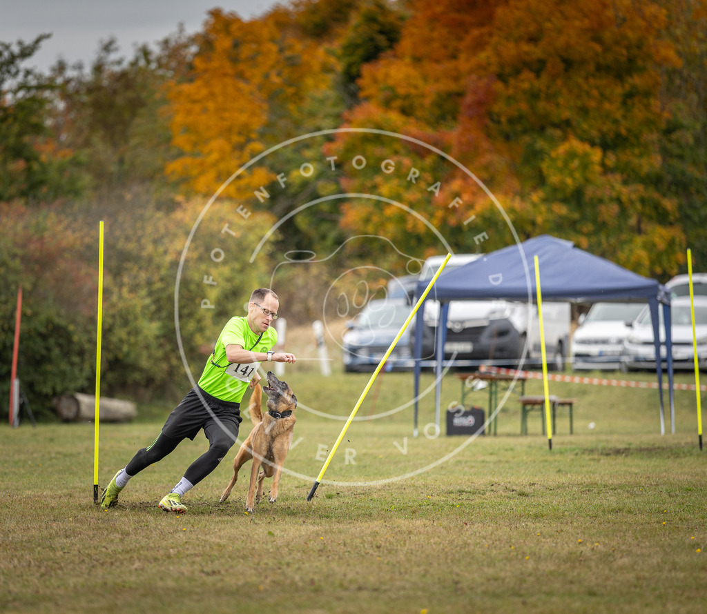 Pfotenfotografie_DV3A8106 | Hundefotografie, Tierfotograf, Pfotenfotografie, Fotoshooting Hund, Hunde Portrait, Hundesport, Hundeportraits, Heideshooting, Hunde, Sportfotograf, Hundefotograf, Turnierhundsport, THS,  - Realisiert mit Pictrs.com