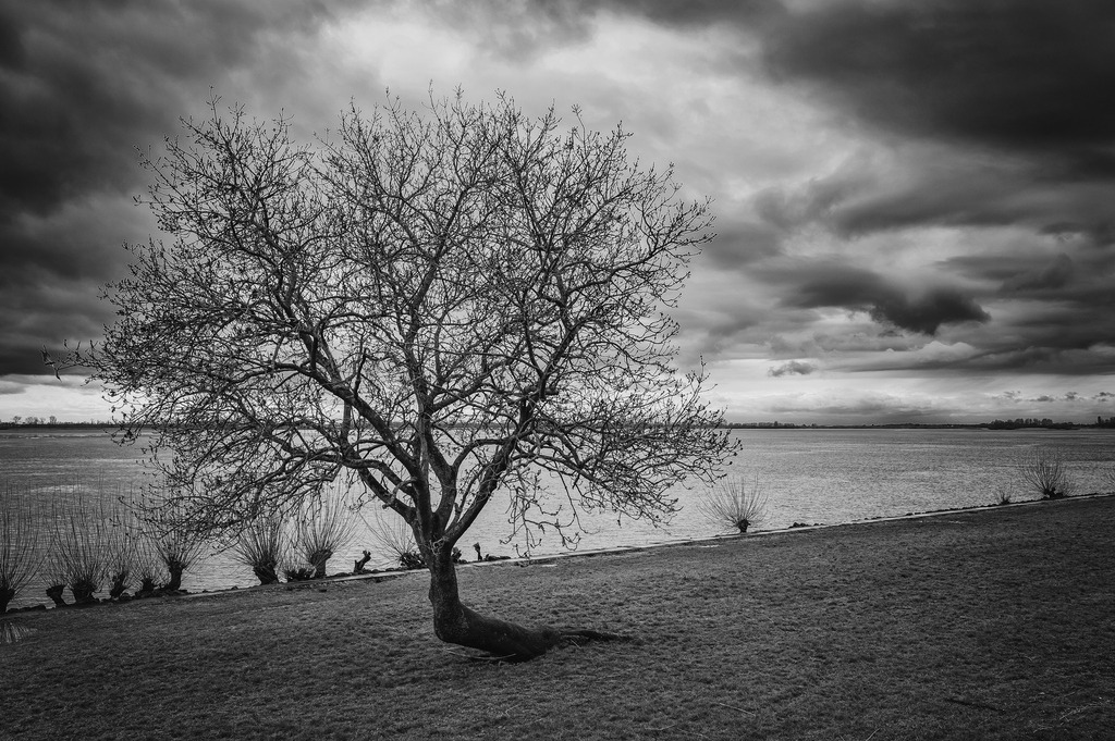 2024_02_25_BLANKENESE+HIRSCHPARK_MCP6760 sw | Hochwertig gedruckte Fotografien für die Wand, als Kalender und zum Verschenken. Hamburg & Norddeutschland und überall wo ich mit der Kamera unterwegs war.