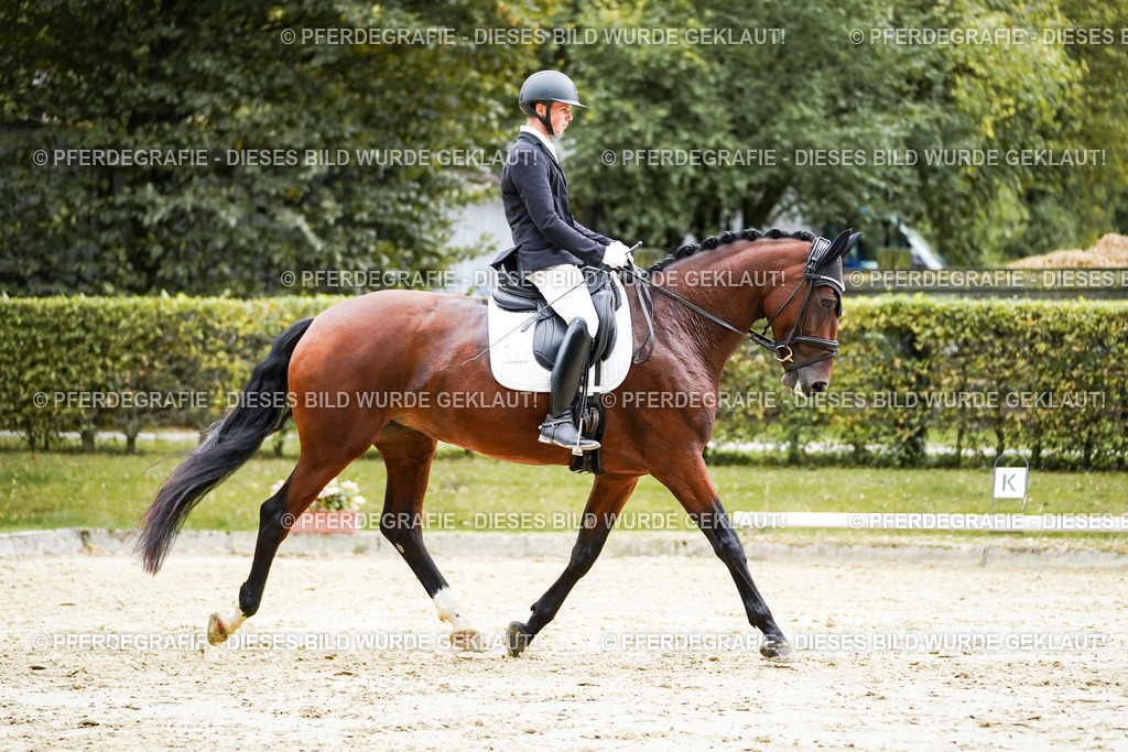 DSC08332 | Pferdegrafie