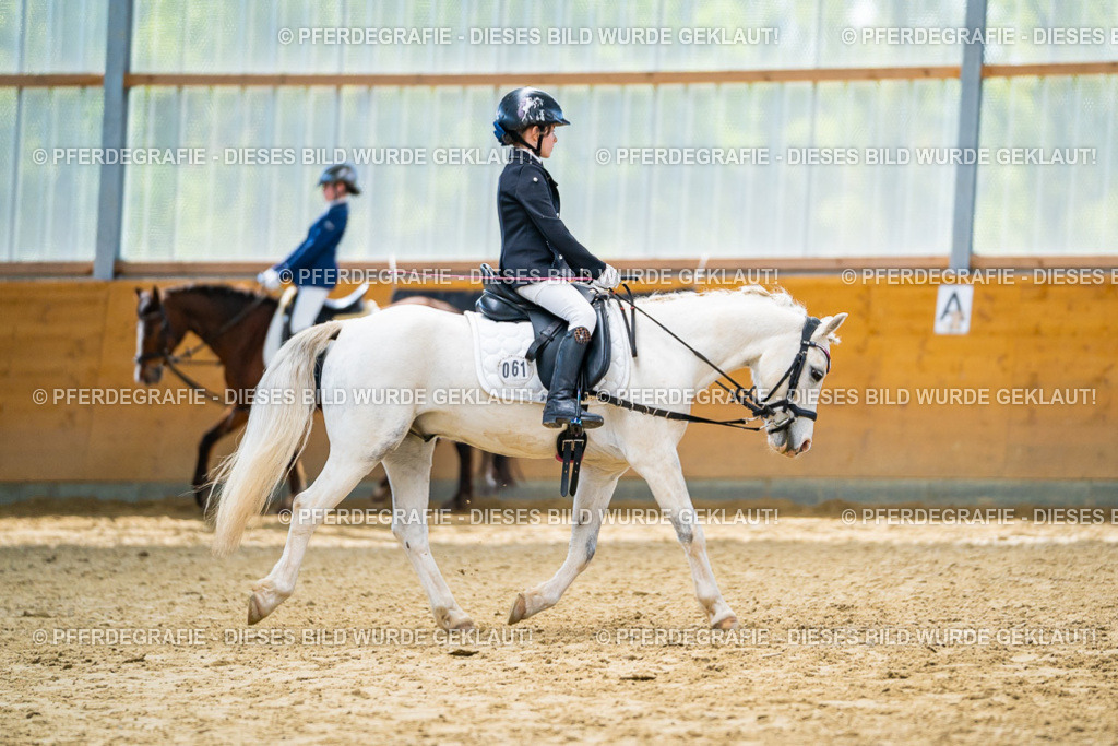 DSC00982 | Pferdegrafie