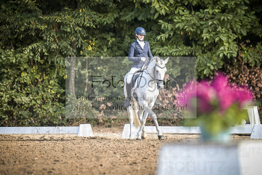 DOS_0811 | Entdecke hochwertige Reitturnierfotos von Foto Oger. Professionell, emotional und authentisch – jetzt Lieblingsmomente im Shop bestellen.Deutschlandweite Turnierfotografie. - Realisiert mit Pictrs.com