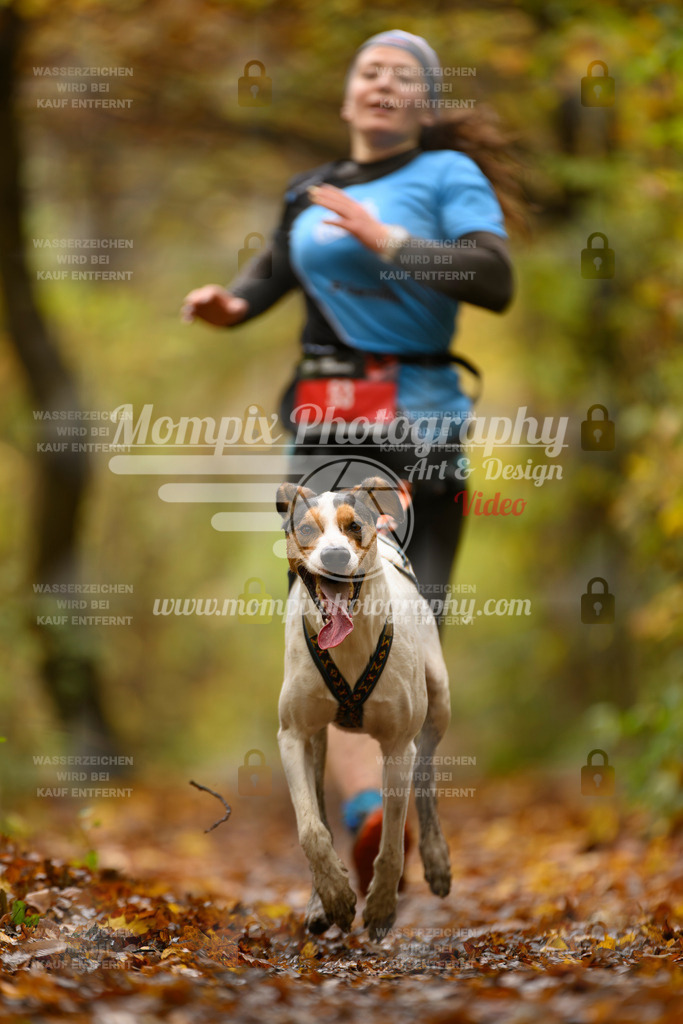 MompixPhotography_CD7S_DI_CCL-12 | mompixphotography