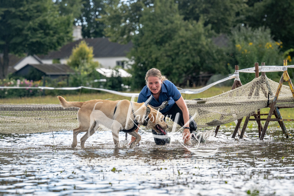 1358_ZZ90598 | kk-dogfotos