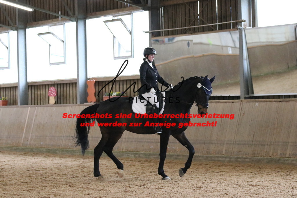 IMG_6904 | lmwpictures - Realisiert mit Pictrs.com