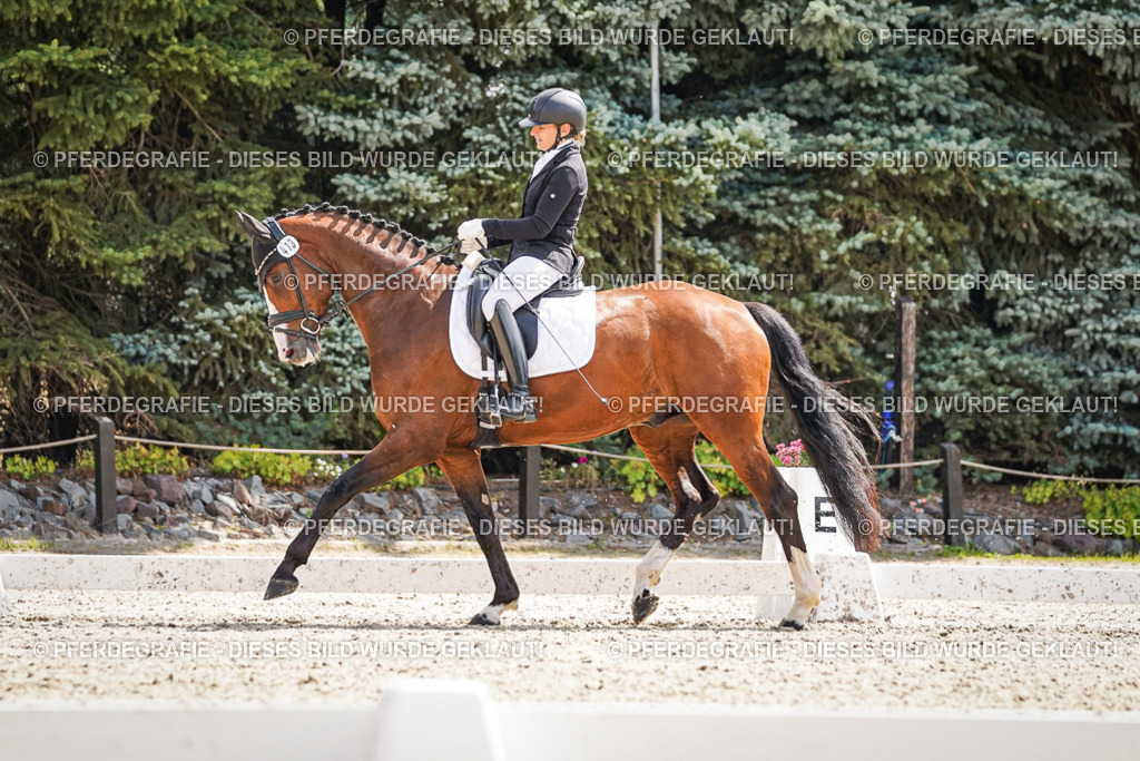 DSC08943 | Pferdegrafie