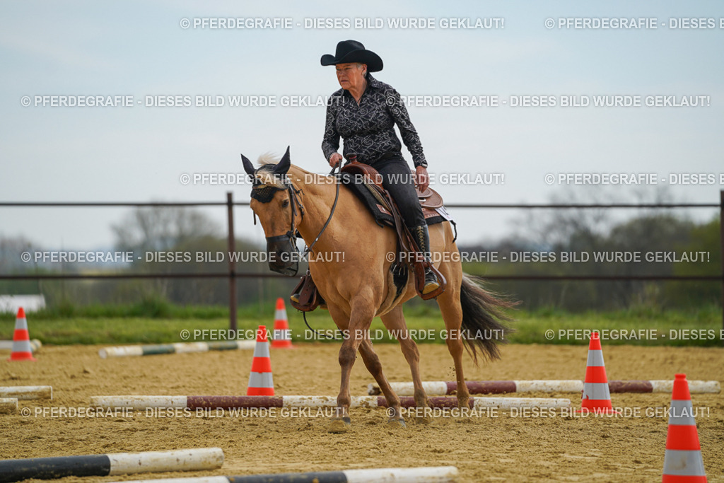 DSC02320 | Pferdegrafie