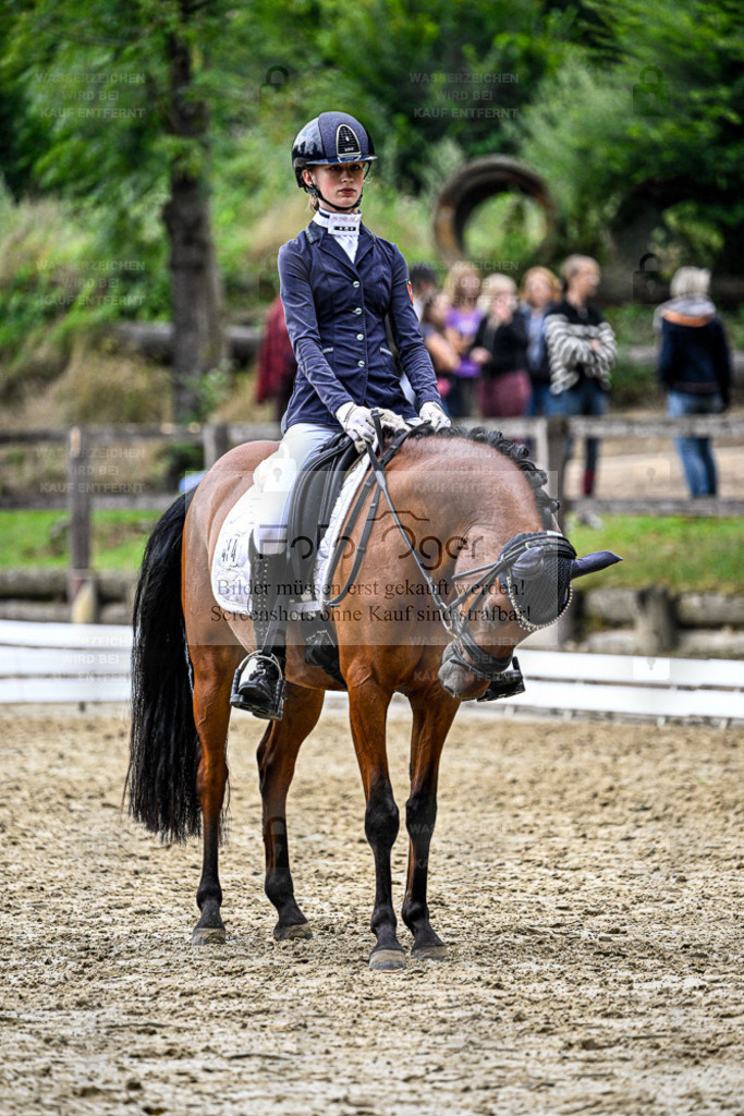 Bissendorfer Reitertage | Entdecke hochwertige Reitturnierfotos von Foto Oger. Professionell, emotional und authentisch – jetzt Lieblingsmomente im Shop bestellen. - Realisiert mit Pictrs.com