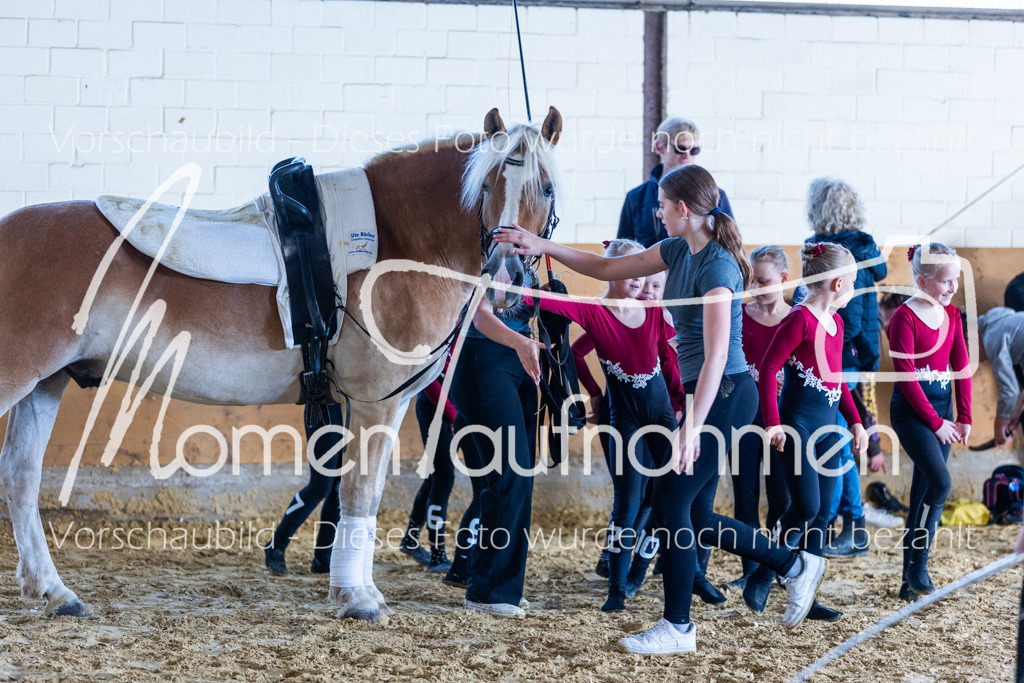 SS-Mini-119 | MomenTaufnahmen Pferdesportfotos