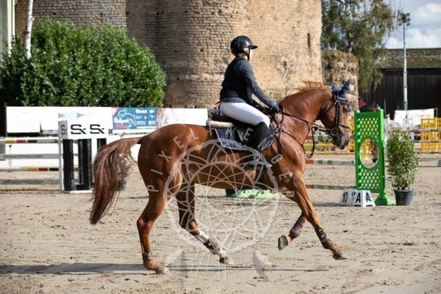 2B4A3696 | pixelfaenger - Realisiert mit Pictrs.com