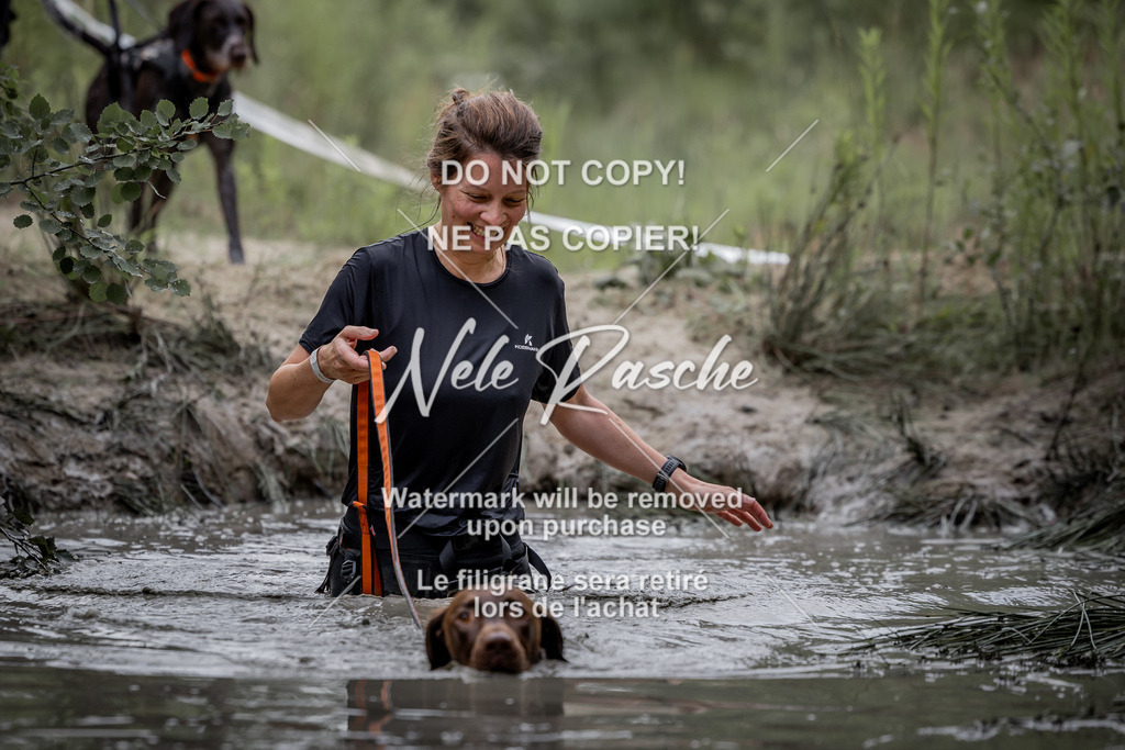 nelerasche_so0800-0930_330 | nelerasche