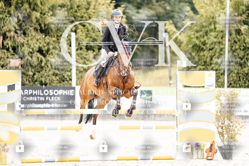 CK909819 | Turnierfotografie Pferdefotografie Trier Rheinland-Pfalz Pferdesport Reitsport Tierfotografie Sportfotografie Pferdevideo Pferdevideografie Equestrianvideography equestrianphotography  - Realisiert mit Pictrs.com