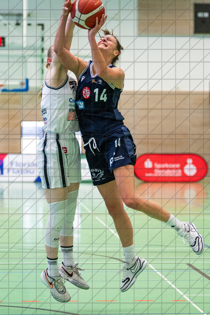 2. DBBL Nord 24/25 | 20.10.2024 | BBC OS vs. Eimsbütteler TV | 2. DBBL Nord 24/25 | 20.10.2024 | BBC OS vs. Eimsbütteler TV - - - - - CREDIT, www.bullenfotos.de, Martin König, Hörner Weg 40, D-49078 Osnabrück, +4917663732967, Nutzung und Weitergabe nur zu den vereinbarten Zwecken. Presseanfragen an Urheber. Alle Rechte beim Urheber. - - - - - - Realisiert mit Pictrs.com