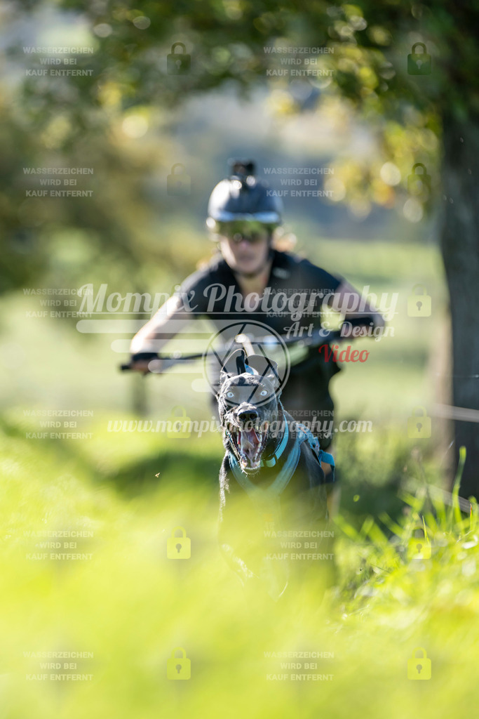 MompixPhotography_20TSB_E3_DS1-8 | PayLife
