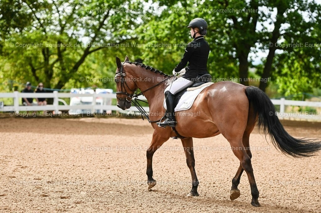 20230716_10-1_Reiter-WB Schritt - Trab - Galopp_0083 | equistock