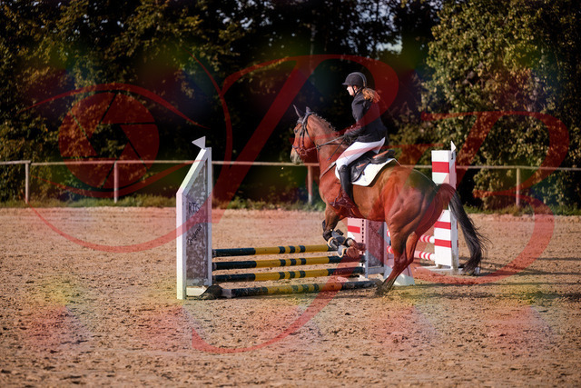 2026_10_03_Siefer-Hof_161012_Z81_89453011 | Professionelle Reitsport-, Turnier- und Eventfotografie von Robert Broda. Galerien mit ausgewählten und bearbeiteten Bildern direkt online ansehen und bestellen.