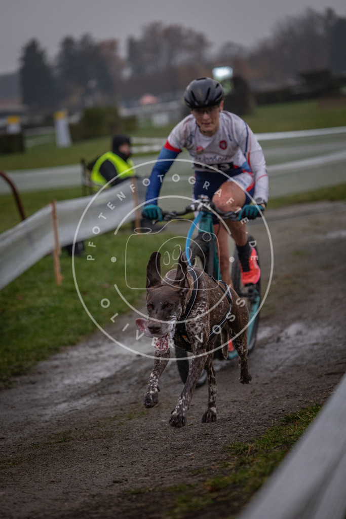 CaniXpix_0L8A0246 | Hundefotografie, Tierfotograf, Pfotenfotografie, Fotoshooting Hund, Hunde Portrait, Hundesport, Hundeportraits, Heideshooting, Hunde, Sportfotograf, Hundefotograf, Turnierhundsport, THS,  - Realisiert mit Pictrs.com