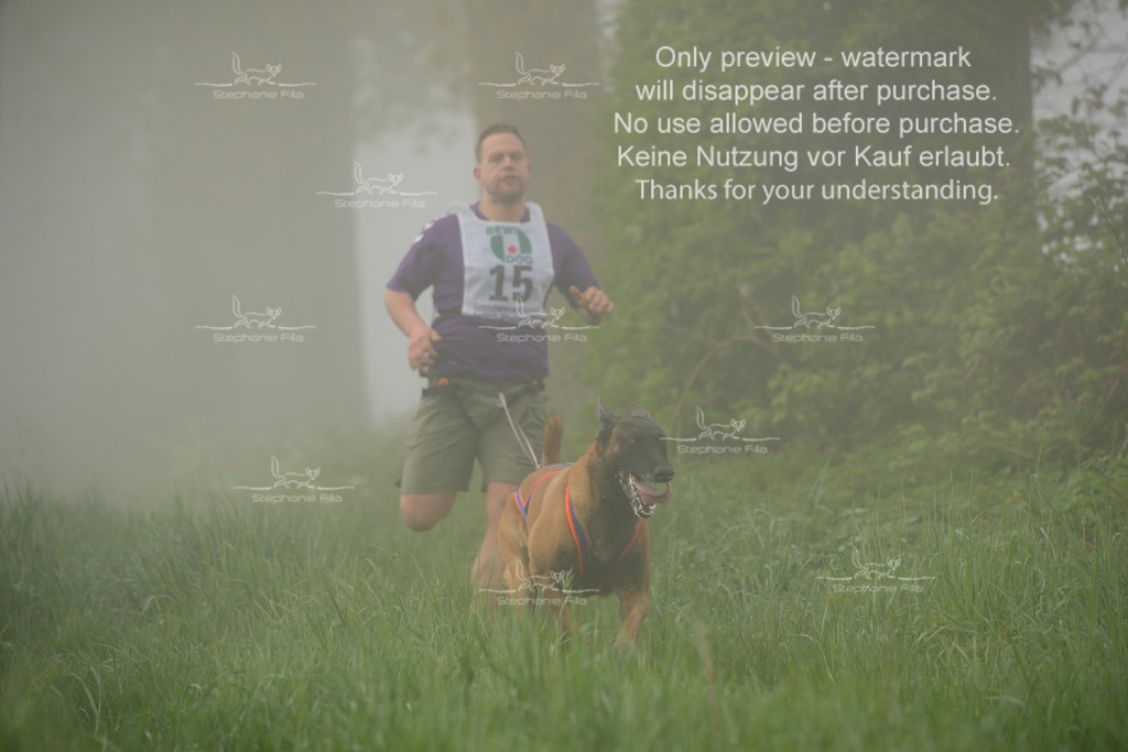 SA_GL2-82 | stephaniefillaphotographie - Realisiert mit Pictrs.com