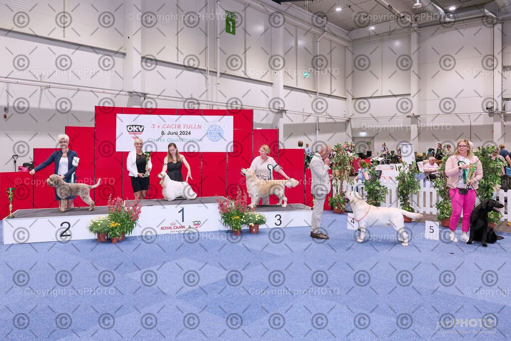 202406_ÖKV-IHA-Tulln24_NZ9_8732 | proPHOTO - Realisiert mit Pictrs.com