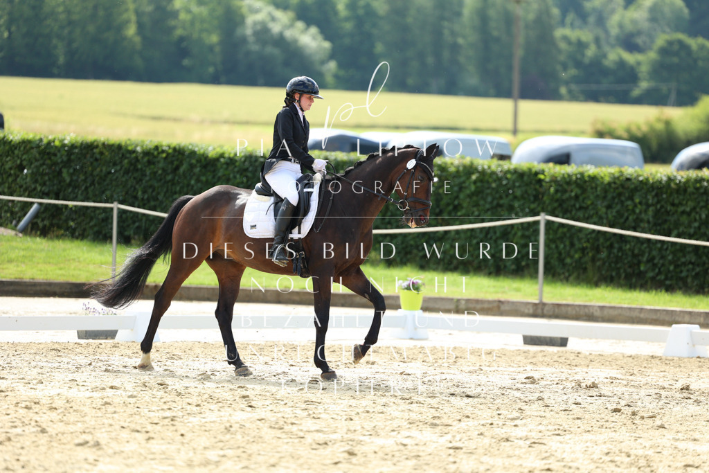 IMGM3768 | pl-fotografie