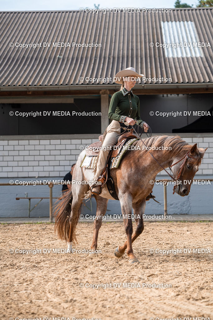 EWP_5724 | dv-media-shop - Realisiert mit Pictrs.com