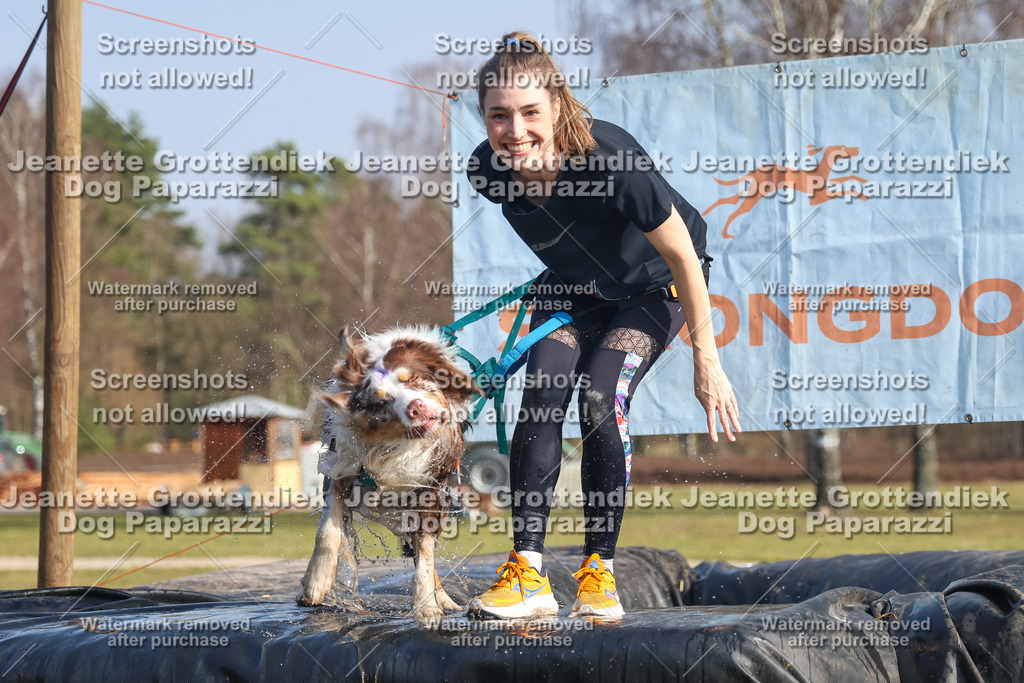 Dog Paparazzi - Strongdog North Mrz26-2442 | Dog Paparazzi Jeanette Grottendiek Fotografie & Videografie - Realisiert mit Pictrs.com