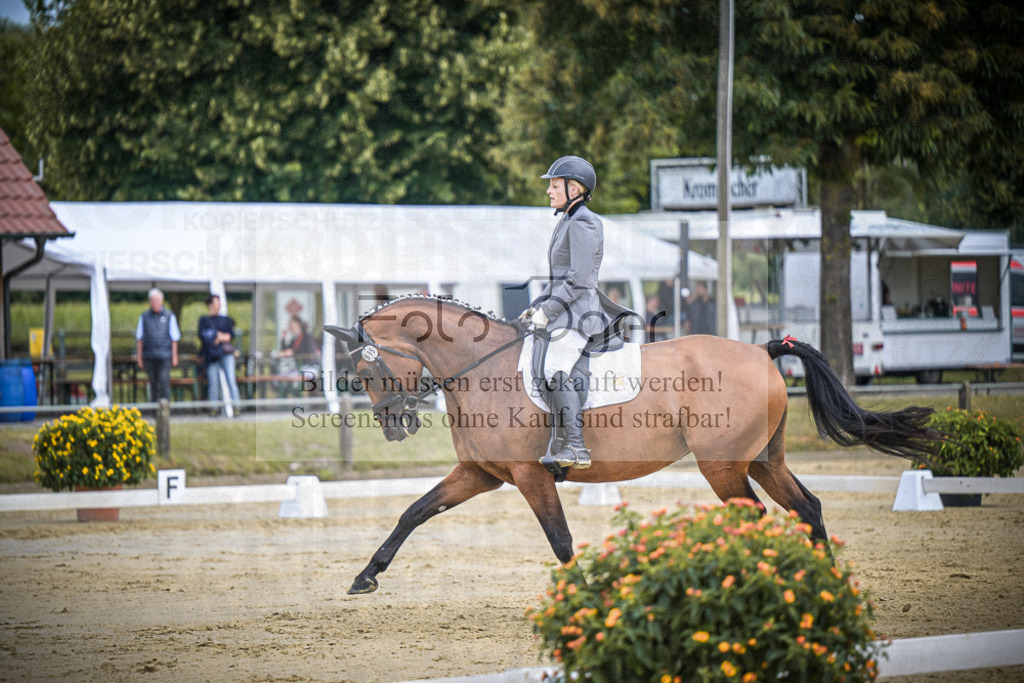 DOS_8937 | Entdecke hochwertige Reitturnierfotos von Foto Oger. Professionell, emotional und authentisch – jetzt Lieblingsmomente im Shop bestellen.Deutschlandweite Turnierfotografie. - Realisiert mit Pictrs.com