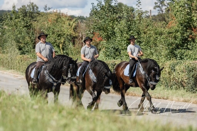 7V6A1721 | natalia-nirschl-photography