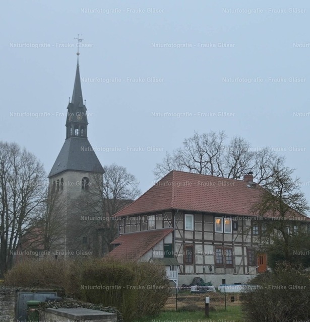81_Bornum_21. März 2026DSC_6217 | Naturfotografie Frauke Gläser - Realisiert mit Pictrs.com