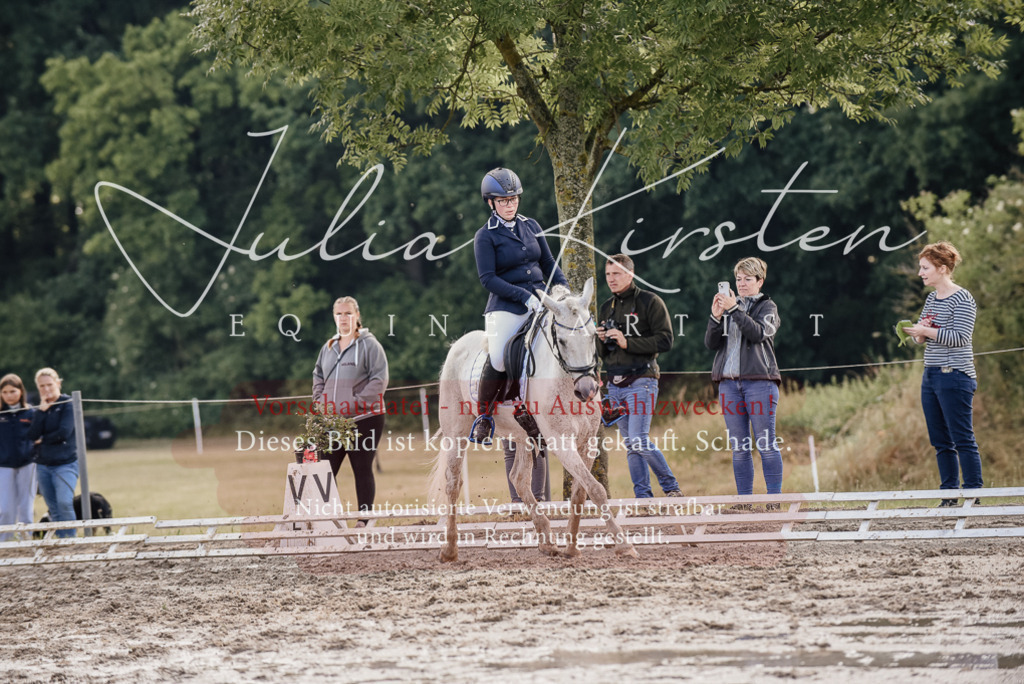 DSC_8018 | Pferde- und Turnierfotografie in Westsachsen. Pferdeportraits, Auftragszeichnungen und intuitive Kunst.