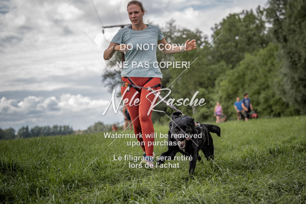 nelerasche_DoN_168 | nelerasche