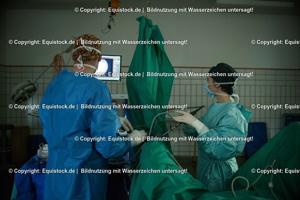 20160315_Arthroskopie_0042 | equistock