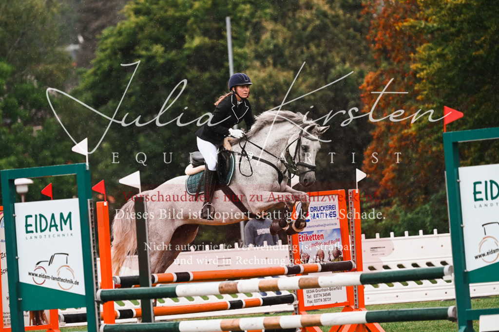 DSC_6626 | Pferde- und Turnierfotografie in Westsachsen. Pferdeportraits, Auftragszeichnungen und intuitive Kunst.