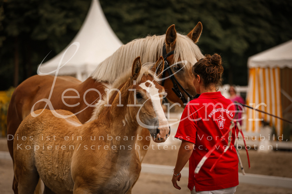 SaHF00047 | Leoni Ertmer Photography - Realisiert mit Pictrs.com