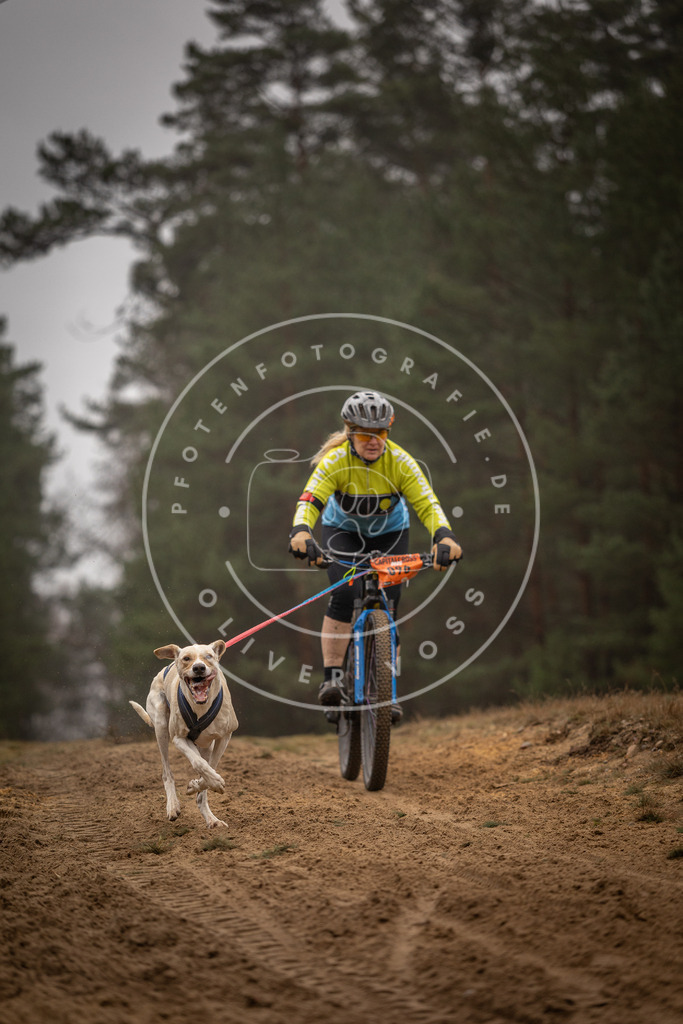 Pfotenfotografie_DV3A3071 | Hundefotografie, Tierfotograf, Pfotenfotografie, Fotoshooting Hund, Hunde Portrait, Hundesport, Hundeportraits, Heideshooting, Hunde, Sportfotograf, Hundefotograf, Turnierhundsport, THS,  - Realisiert mit Pictrs.com