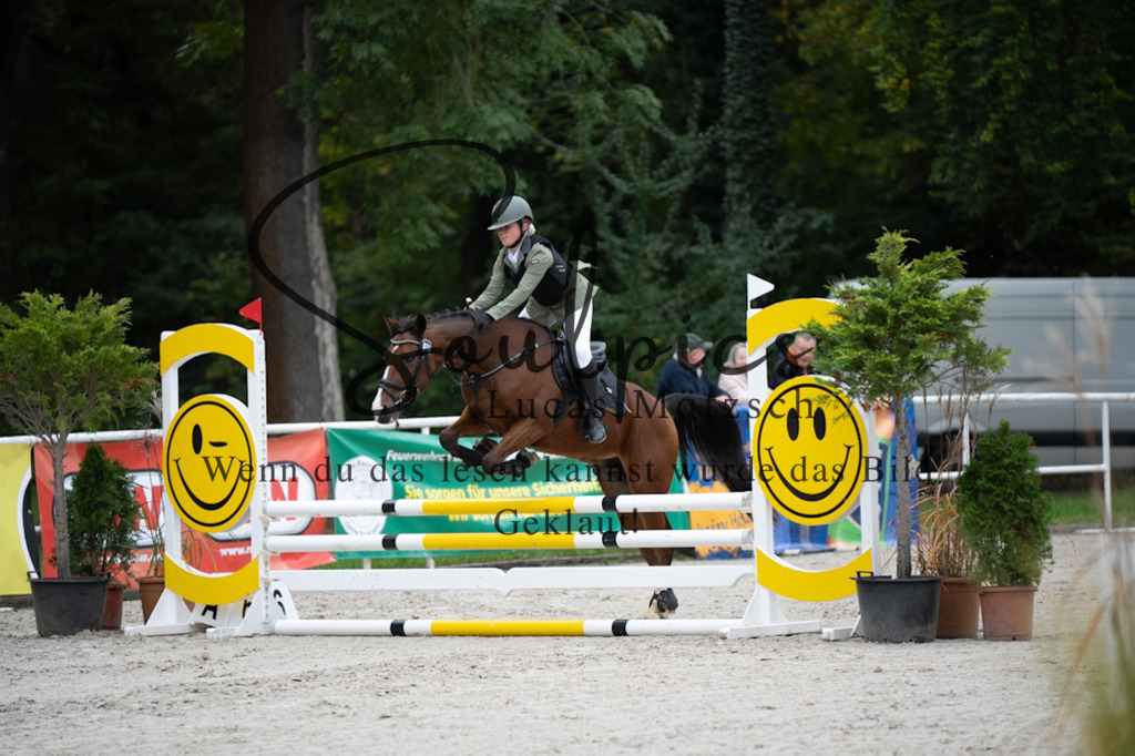 A7V08407 | Pferdefotograf