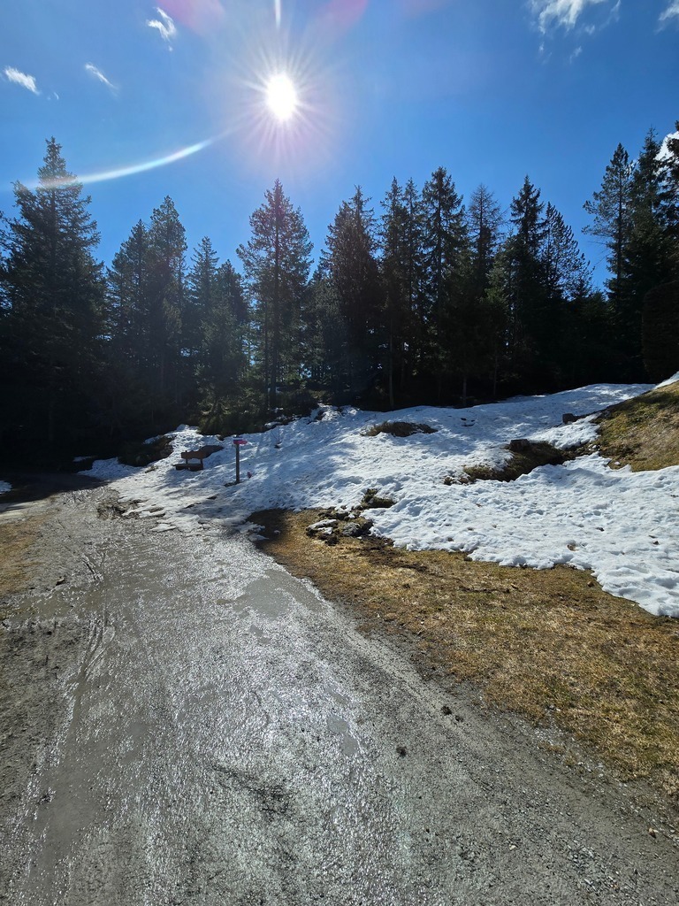 20250409_112258 | Heilkarten - Realisiert mit Pictrs.com