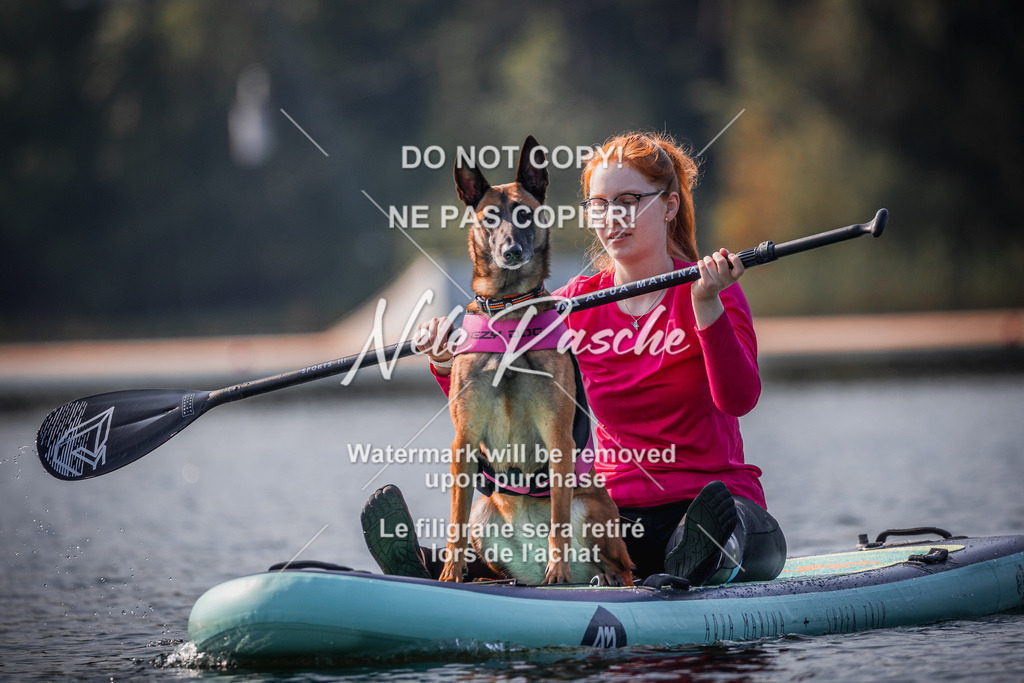 BUHU_SUP_033 | nelerasche