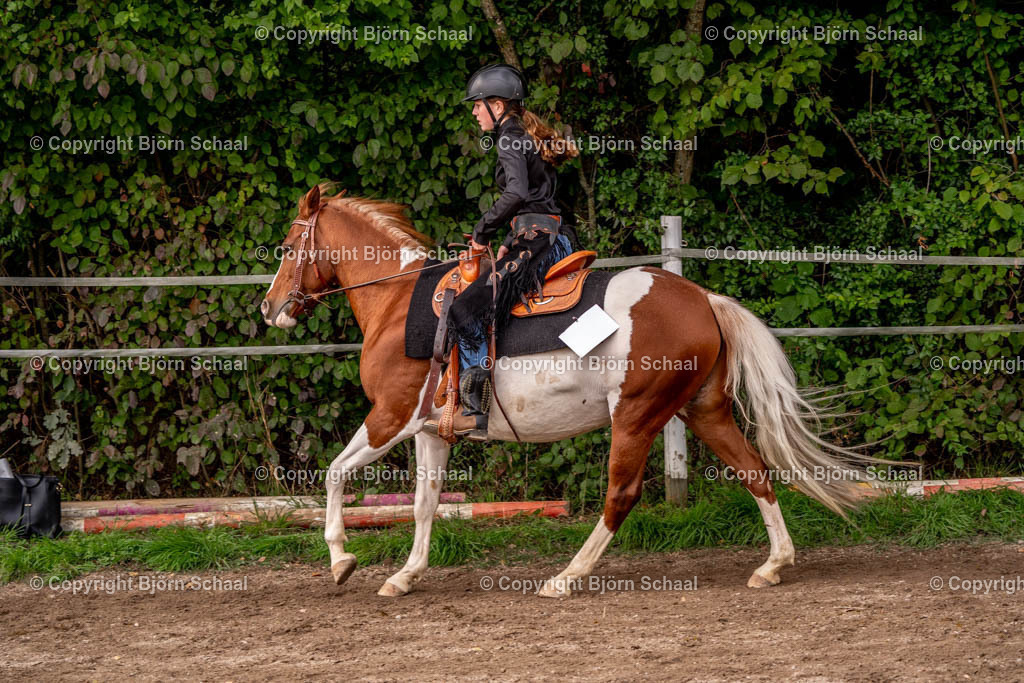 SAL03490 | BS-foto