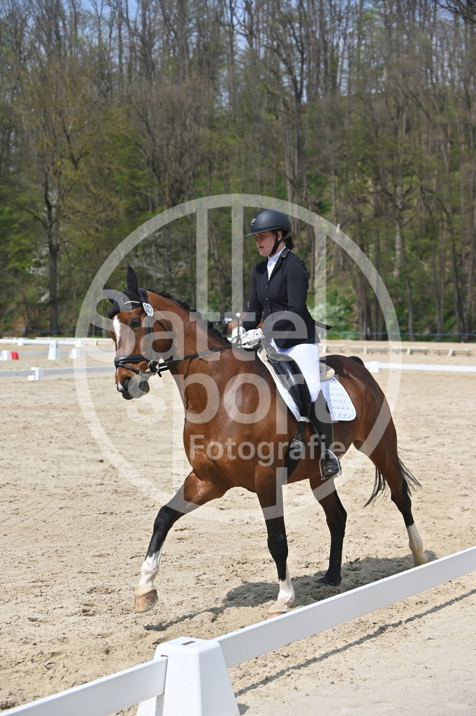 DSC_1991 | sattelsport - Realisiert mit Pictrs.com