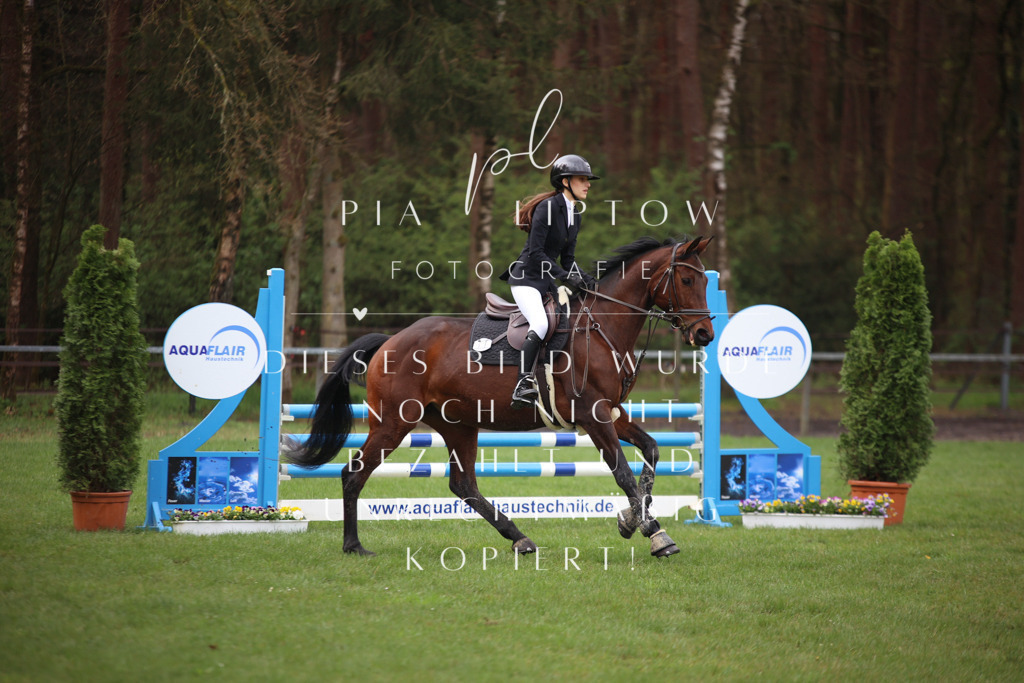 IMGT2918 | pl-fotografie