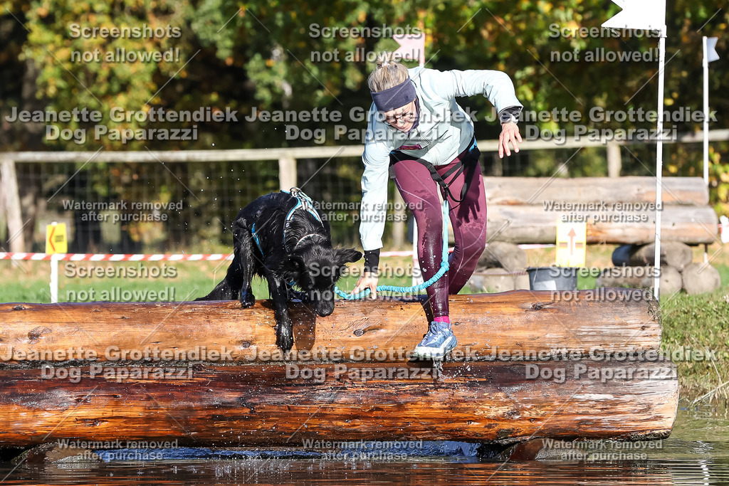 Dog Paparazzi - Strongdog 10-25-8710 | Dog Paparazzi Jeanette Grottendiek Fotografie & Videografie - Realisiert mit Pictrs.com