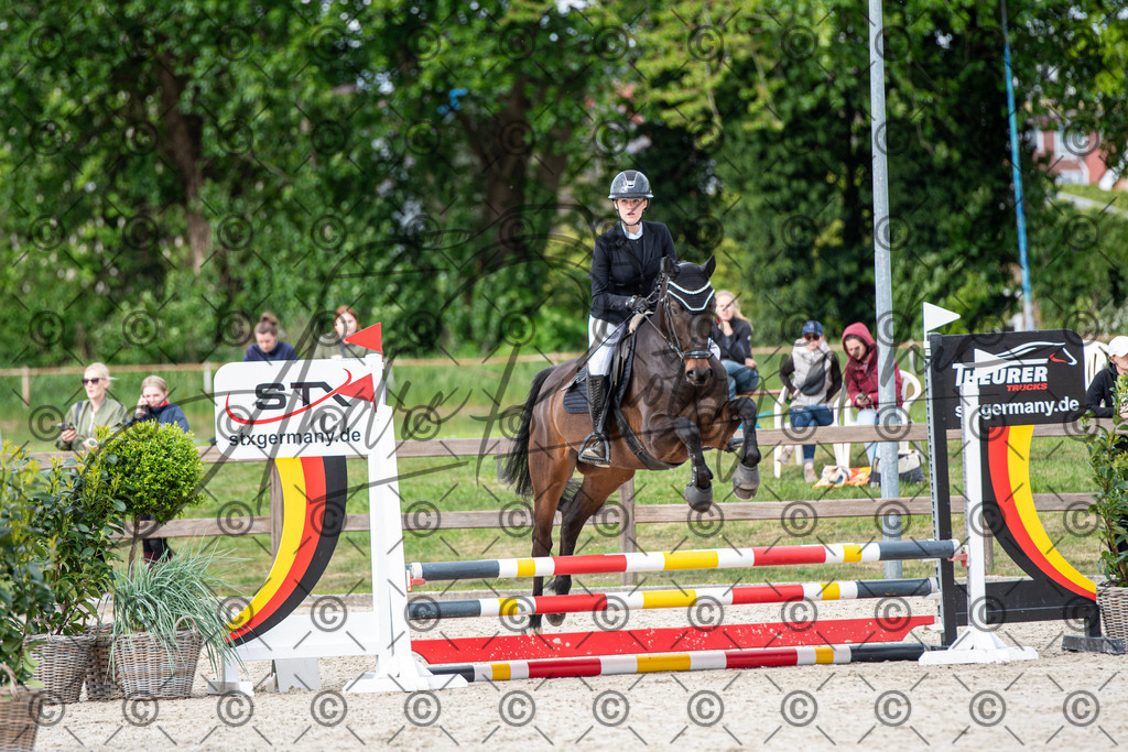 KPT_6512 | andre_photographic