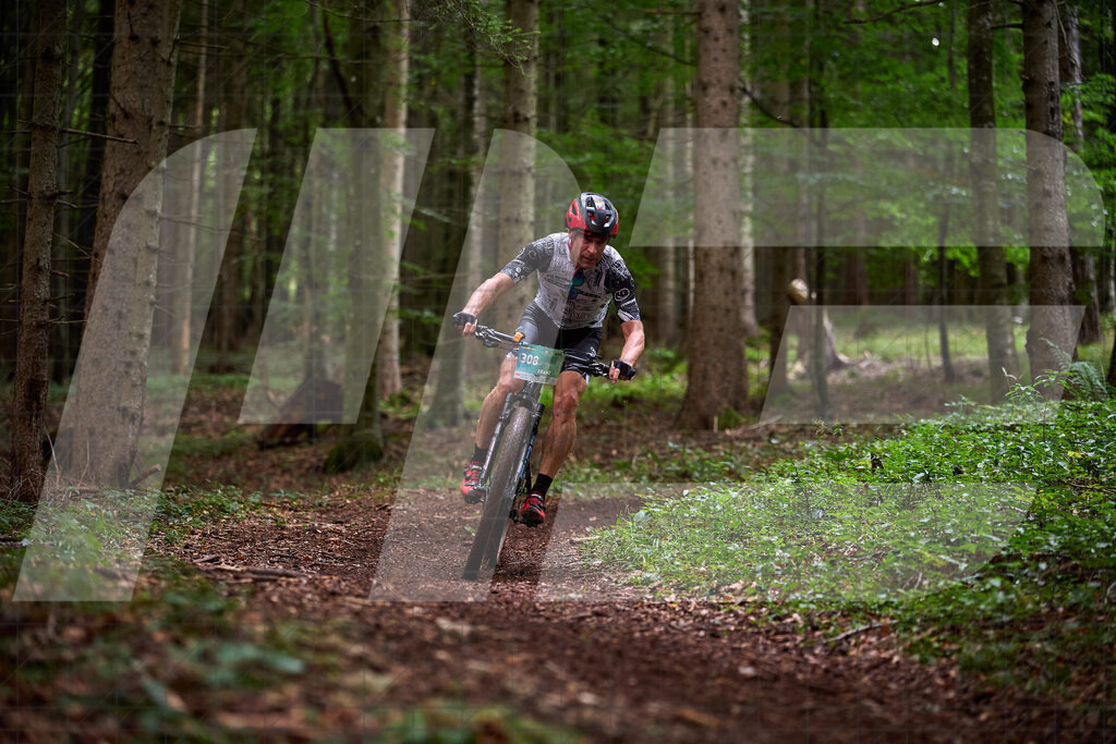 Betriebszentrum Laubenbachmühle, Frankenfels, Österreich - 13. September 2025: Dirndltal Race - Fun und Trophy RaceFotograf: Martin Bihounek / martinbihounek.com | 13. September 2025 Betriebszentrum Laubenbachmühle, Frankenfels, Österreich : Dirndltal Race - Fun und Trophy Race •••••Photo by: Martin Bihounek / martinbihounek.comInsta: @martinbihounekcom
