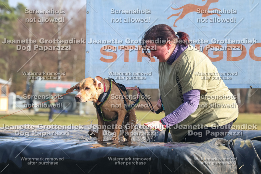 Dog Paparazzi - Strongdog North Mrz26-1786 | Dog Paparazzi Jeanette Grottendiek Fotografie & Videografie - Realisiert mit Pictrs.com